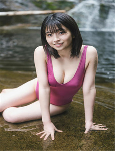 新上门女婿