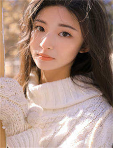 王爷太妻奴 小说