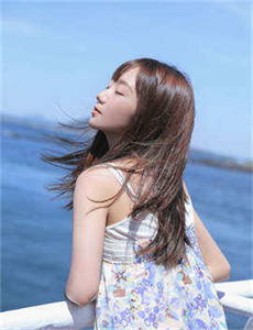 inu-006
